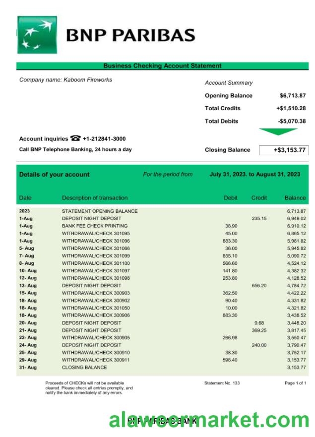 Bank BNP Paribas company statement Word and PDF template